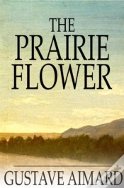 Capa do artigo Prairie Flower