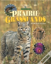 Capa do artigo Prairie Grasslands