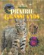 Prairie Grasslands - Preview