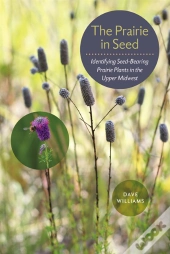 Prairie In Seed