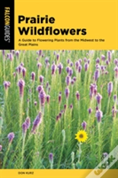 Prairie Wildflowers