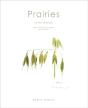 Prairies ; Papillons Et Plantes Champêtres De Nos Contrées - Preview