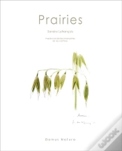 Capa do artigo Prairies ; Papillons Et Plantes Champêtres De Nos Contrées
