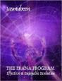 Prana Program - Effective & Enjoyable Evolution - Preview