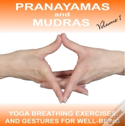 Capa do artigo Pranayamas & Mudras