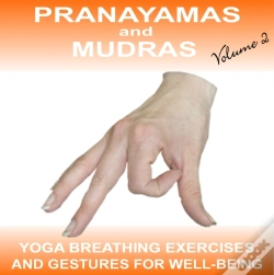 Capa do artigo Pranayamas & Mudras - Yoga 2 Hear