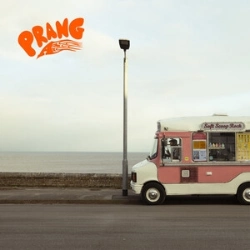 Capa do artigo PRANG - Vinil