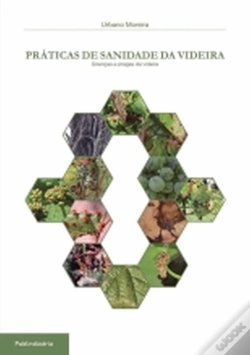 Capa do artigo Práticas de Sanidade da Videira