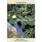 Pratique Avancee De Meditation - Preview