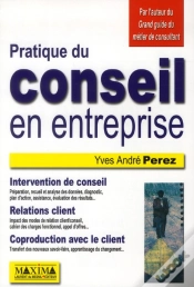 Capa do artigo Pratique Du Conseil En Entreprise