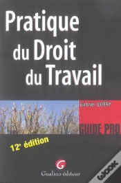 Capa do artigo Pratique Du Droit Du Travail (12e Edition)
