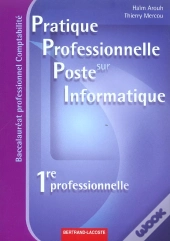 Pratique Professionnelle Sur Poste Informatique