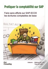 Pratiquer La Comptabilité Sur Sap