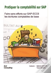 Capa do artigo Pratiquer La Comptabilité Sur Sap