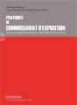 Pratiques De Commissariat D'Exposition : Récits D'Expériences Pour Une Réflexion Incarnée - Preview