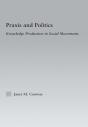Praxis And Politics - Preview