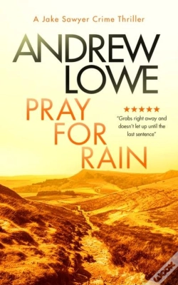 Capa do artigo Pray For Rain