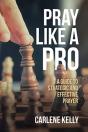 Pray Like A Pro - Preview