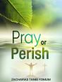 Pray Or Perish - Preview