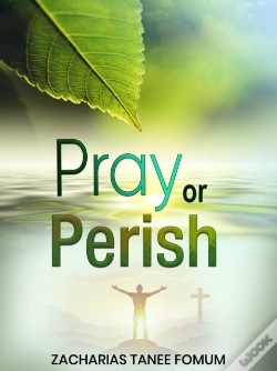 Capa do artigo Pray Or Perish