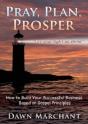 Pray, Plan, Prosper! - Preview