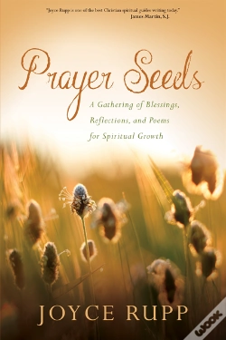 Capa do artigo Prayer Seeds