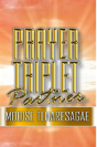 Prayer Tripplet Parner - Preview