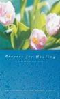 Prayers For Healing - Preview