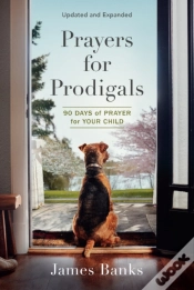 Capa do artigo Prayers For Prodigals