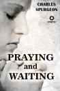 Praying And Waiting - Preview