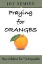 Praying For Oranges - Preview