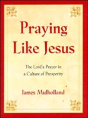 Praying Like Jesus - Preview