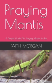 Praying Mantis