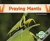 Capa do artigo Praying Mantis