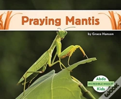 Capa do artigo Praying Mantis