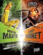 Praying Mantis Vs Giant Hornet - Preview