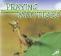 Praying Mantises - Preview