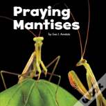 Praying Mantises