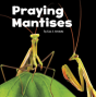 Praying Mantises - Preview