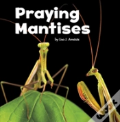 Capa do artigo Praying Mantises