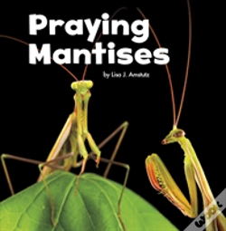 Capa do artigo Praying Mantises