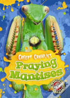 Praying Mantises