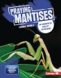 Praying Mantises - Preview