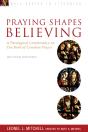 Praying Shapes Believing - Preview