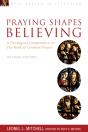 Praying Shapes Believing - Preview