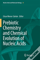 Prebiotic Chemistry And Chemical Evolution Of Nucleic Acids