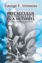 Precalculus Mathematics In A Nutshell: Geometry, Algebra, Trigonometry - Preview