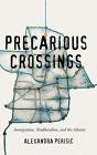 Precarious Crossings - Preview