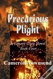 Capa do artigo Precarious Plight