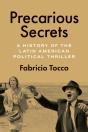 Precarious Secrets - Preview